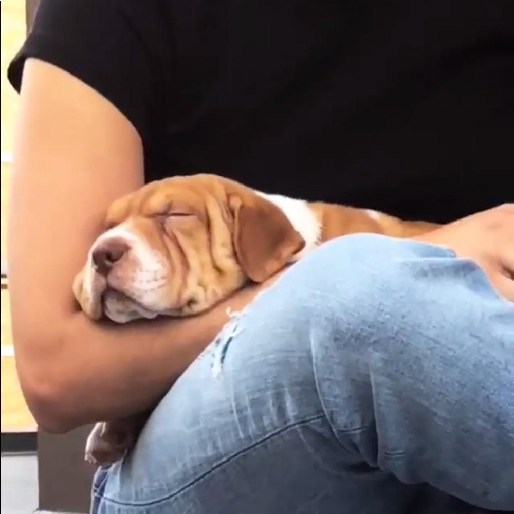 Meet your Posher, Alexandra